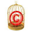 Birdcage with copyright symbol inside