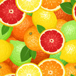 Seamless background with citrus fruits. Vector illustration.