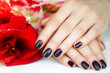Closeup fingernails with dark manicure and red flowers