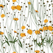 Vektor: Meadow Flowers Seamless Pattern Meadow Flowers Seamless Pattern