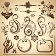 Floral vintage vector design elements.