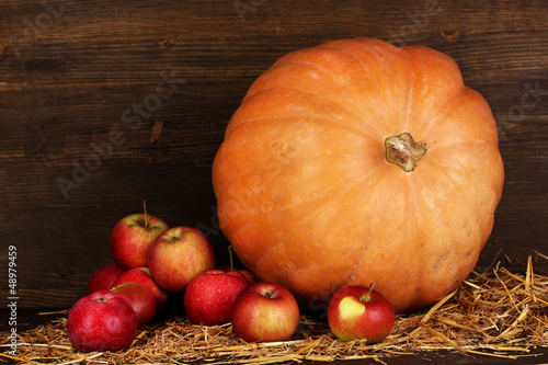 Photo: Excellent autumn still life with pumpkin Excellent autumn still life with pumpkin