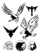 Eagle Symbols