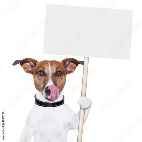 Photo: banner dor banner dor