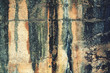 moldy concrete wall