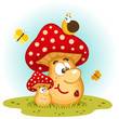 Mushrooms and insects vector