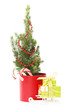 Christmas composition