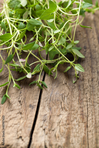 Photo: fresh thyme fresh thyme