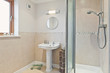 Modern Bathroom with Shower