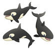 Vector: Orca Set Orca Set