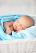 Newborn