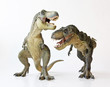 A Tyrannosaurus Pair on a White Background