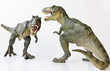 A Tyrannosaurus Pair on a White Background