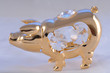 gold piggy
