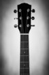 acoustic guitar neck
