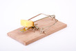 Mouse trap