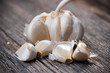 Garlic