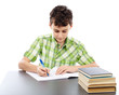 Student doing homework