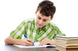 Student doing homework
