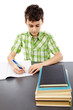 Student doing homework