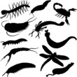 prehistoric arthropods silhouettes