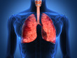 Detail of an x-ray of lungs on black background