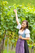 Junge Frau im Weingarten neben Weinreben