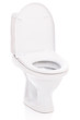 Toilet bowl