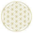 Blume des Lebens - Flower of life