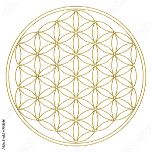 Illustration: Blume des Lebens - Flower of life Blume des Lebens - Flower of life