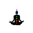The 7 Chakras