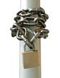 Wrapped Chain And Padlock Front