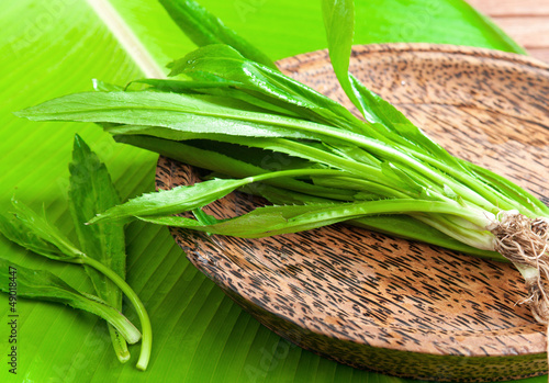 Photo: Asian tropical parsley freshness cooking vegetable Asian tropical parsley freshness cooking vegetable