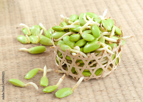 Photo: Riang Parkia seeds Thai side dishes it's tropical plants Riang Parkia seeds Thai side dishes it's tropical plants