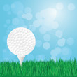 Vector: golf ball on grass golf ball on grass