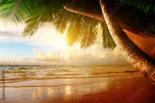 Photo: sunrise on Caribbean beach sunrise on Caribbean beach
