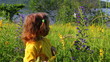 Video: little girl and butterfly on flower little girl and butterfly on flower