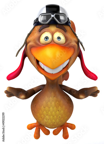 Photo: Fun chicken Fun chicken