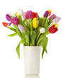 Tulpenstrauß in weißer Vase, isoliert