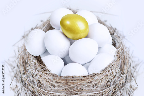 Photo: Unique gold egg investment Unique gold egg investment