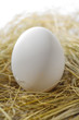 White egg in the straw