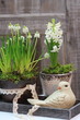 It's Springtime