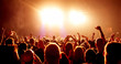 cheering crowd at concert
