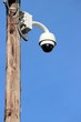 Poteau téléphonique en bois équipé de ' vidéosurveillance '
