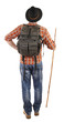 Adventurer hiker with rod view from back