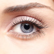 Woman eye