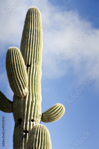 Photo: Saguaro Against Sky With Clouds Saguaro Against Sky With Clouds