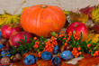 Foto: fall- still life fall- still life