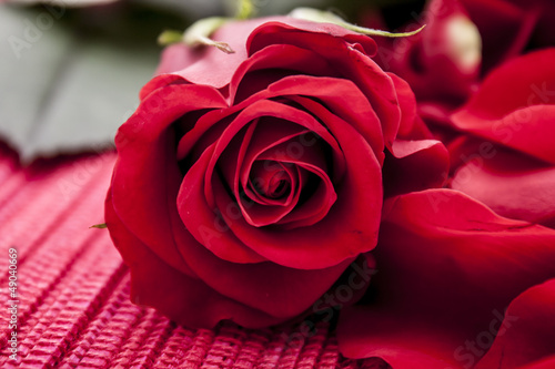 Photo: Red rose Red rose
