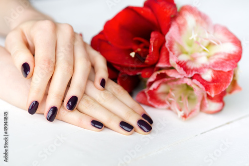 Photo: Spa manicure with red and white flowers closeup Spa manicure with red and white flowers closeup